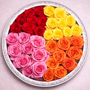 Mixed Roses Pack