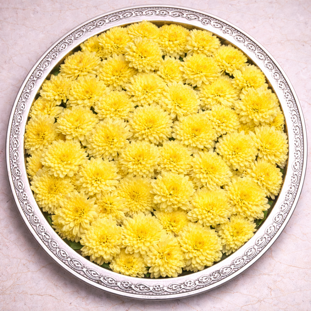 Yellow Sevanthi pack