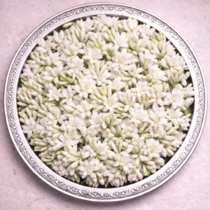 Rajnigandha (Tuberose) Flowers