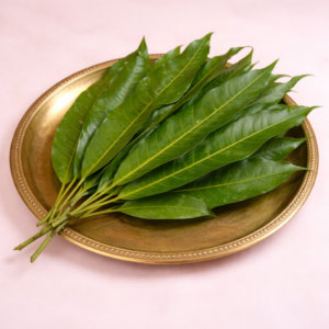 Mango Leaves Bunch 🌿