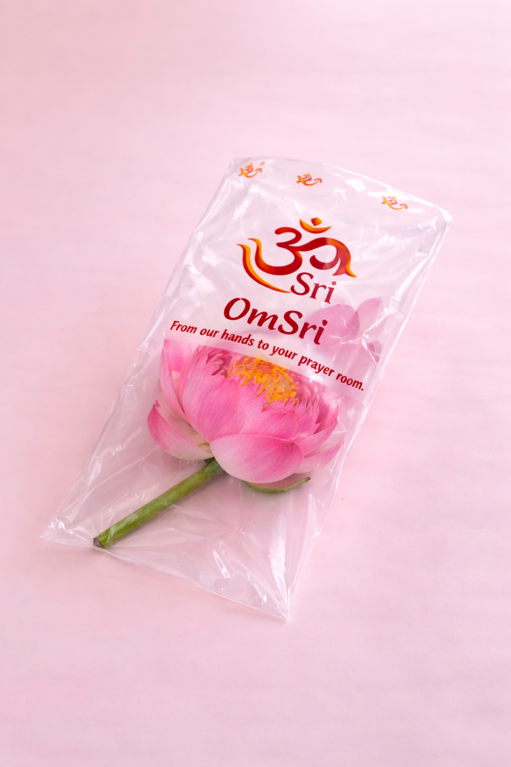 Pink Lotus - Image 2