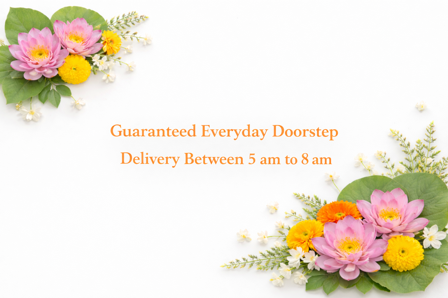 ChatGPT Image Feb 9, 2026, 12_33_20 PM