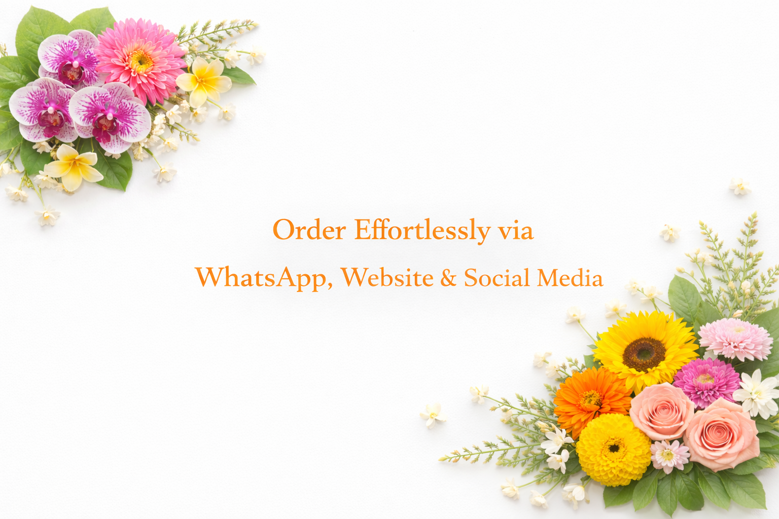 ChatGPT Image Feb 9, 2026, 12_40_01 PM